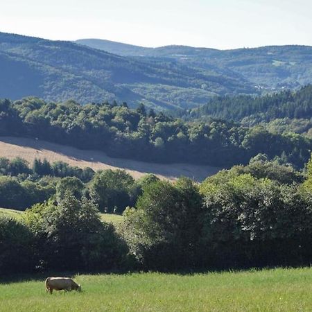 Ahoma, Sejour Bien-Etre, Calme Et Serenite. Labruguière Buitenkant foto