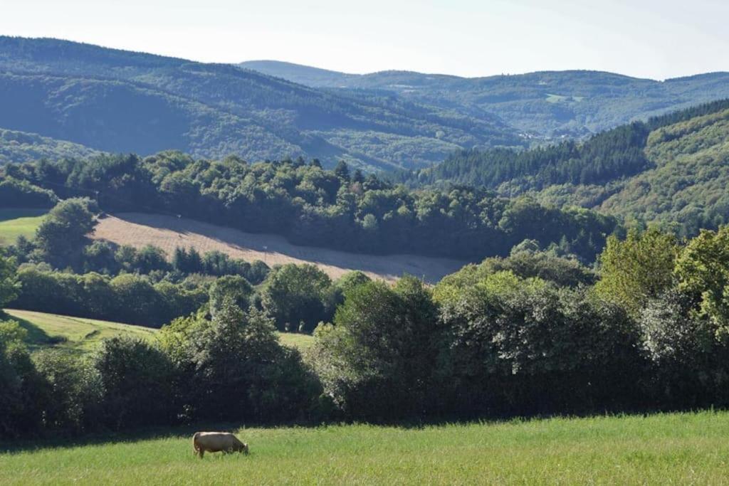 Ahoma, Sejour Bien-Etre, Calme Et Serenite. Labruguière Buitenkant foto