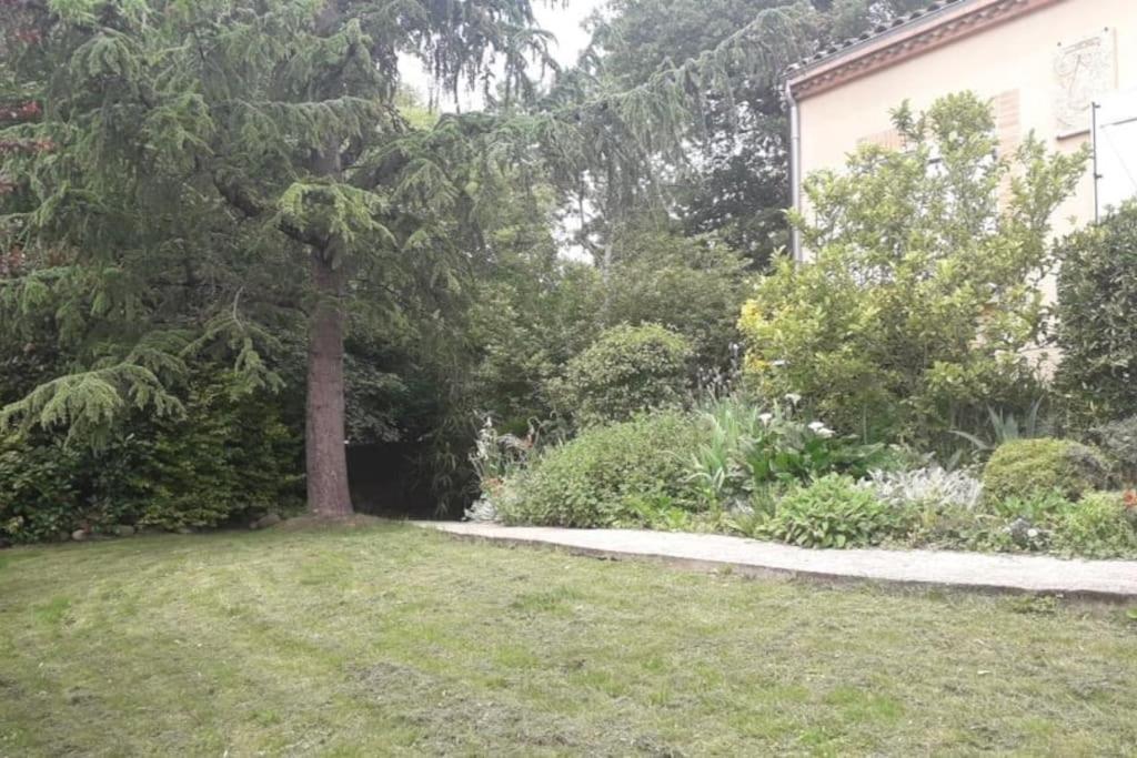Ahoma, Sejour Bien-Etre, Calme Et Serenite. Labruguière Buitenkant foto